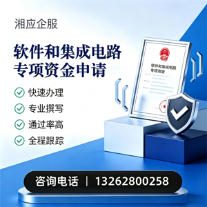 淮北软件和集成电路专项资金申报服务