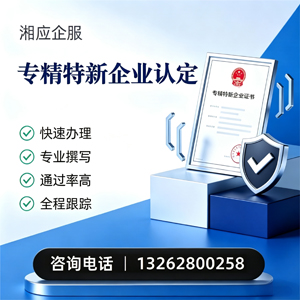 淮北专精特新企业申报服务