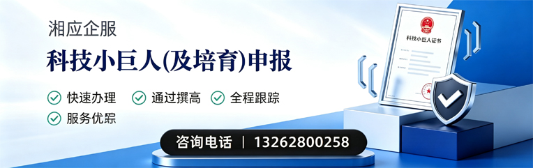淮北科技小巨人及培育企业申报服务