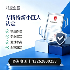 淮北专精特新小巨人申报服务