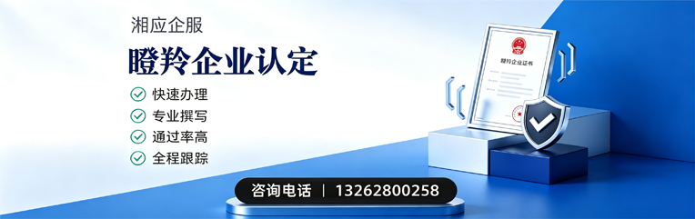 淮北瞪羚企业认定申报服务