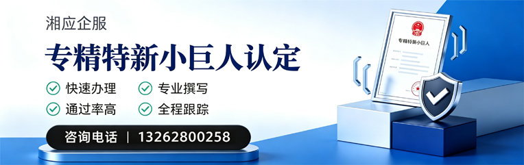 淮北专精特新小巨人申报服务